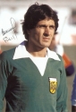 fillol3.jpg