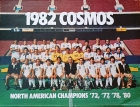 Cosmos1982.jpg