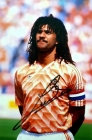 Gullit3.jpg