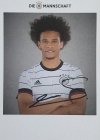 Sane99.jpg