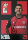 palacios.jpg