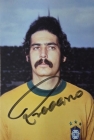 rivellino.jpg